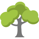 Prescott Valley Tree Removal