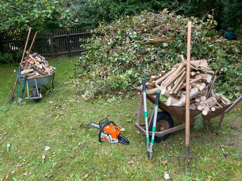 Hickory Tree Removal