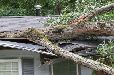 Summer Storm Damage Cleanup